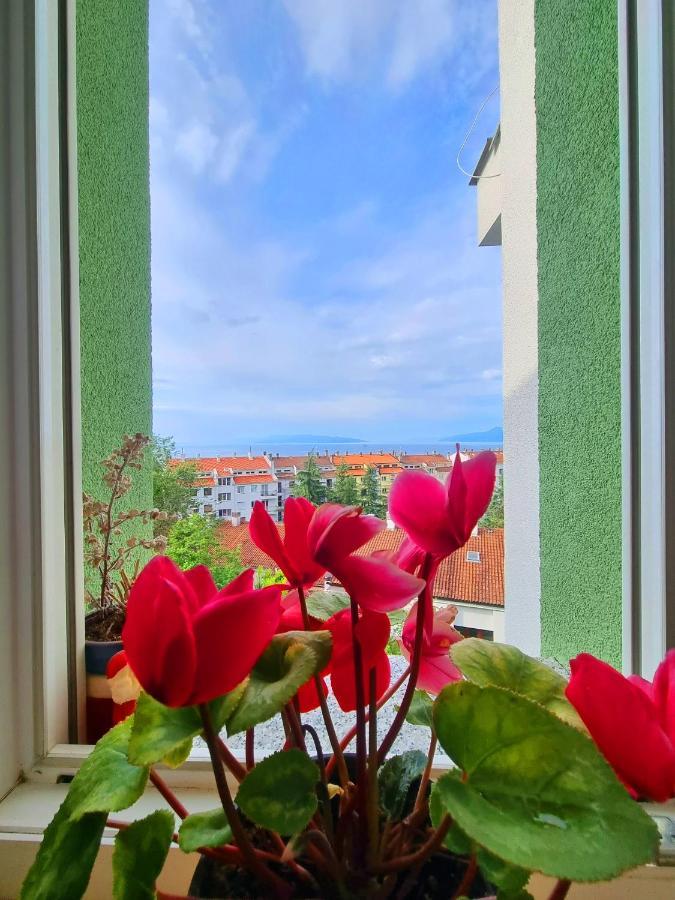 With Sea View Apartment